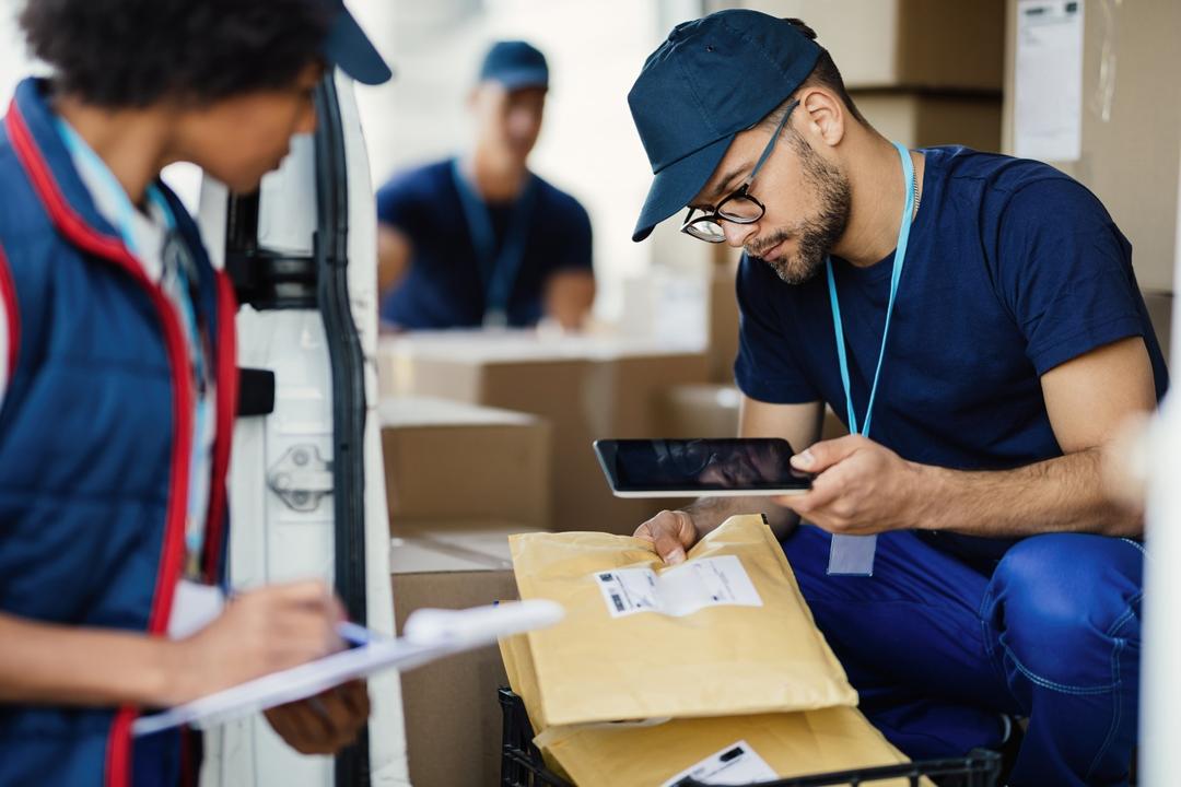 Domestic Shipping